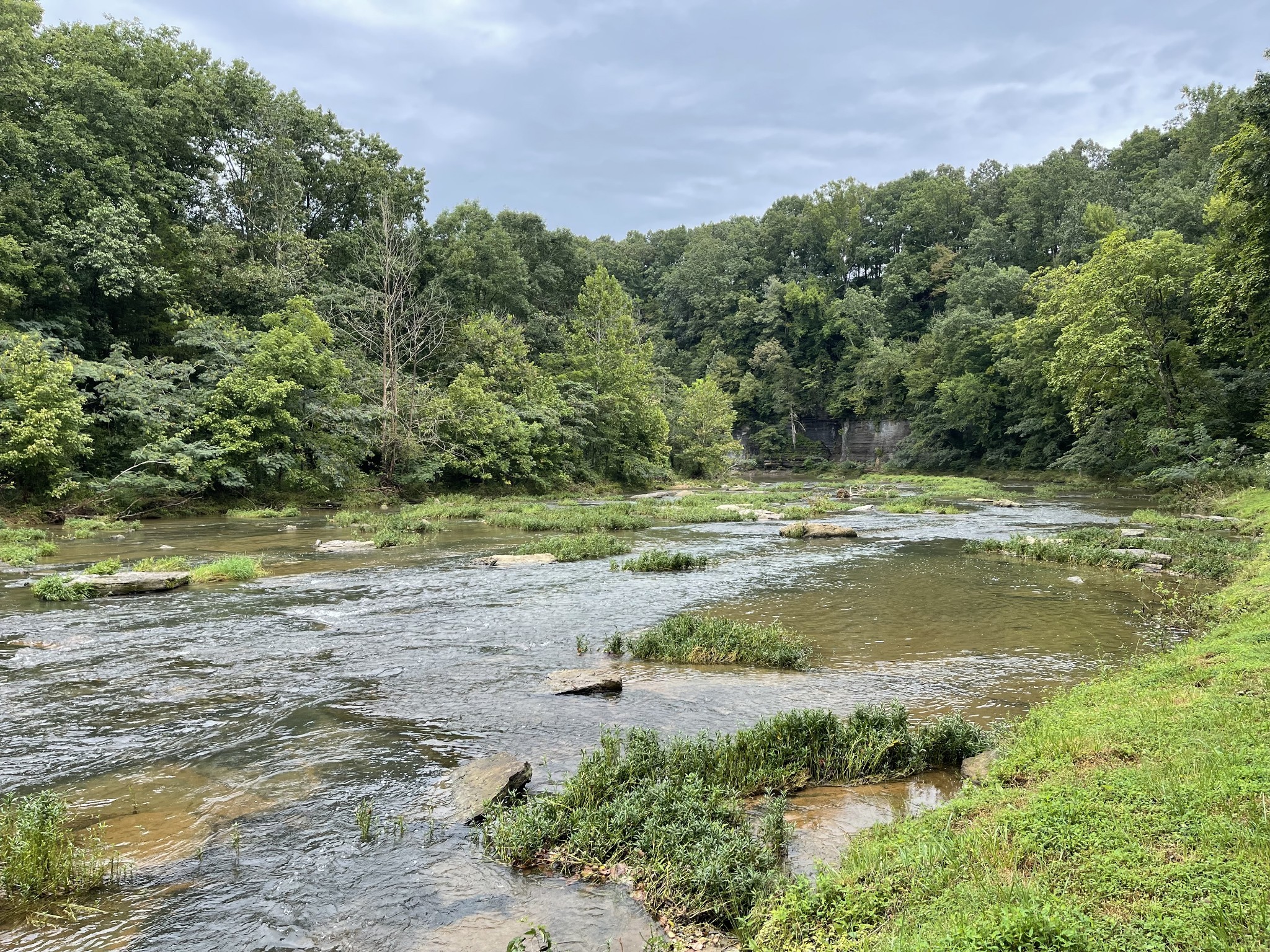 0 Cove Lane Lawrenceburg TN 38464