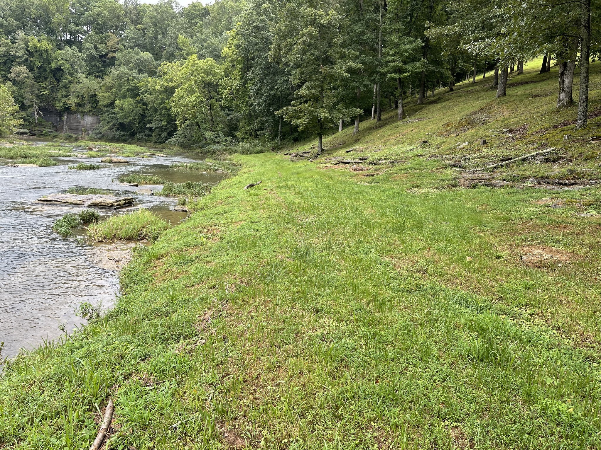 0 Cove Lane Lawrenceburg TN 38464