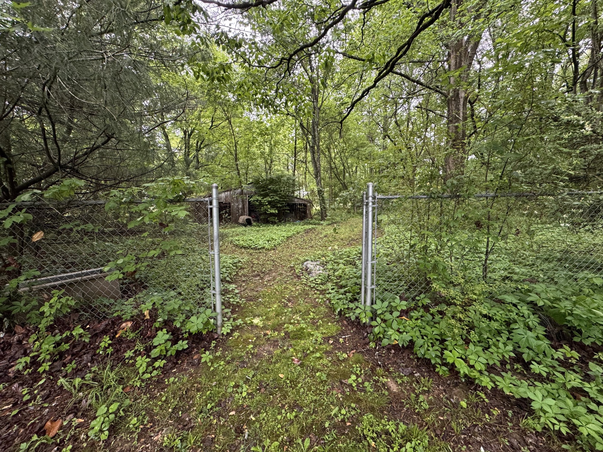 5312 Bluff Springs Road Mcminnville TN 37110