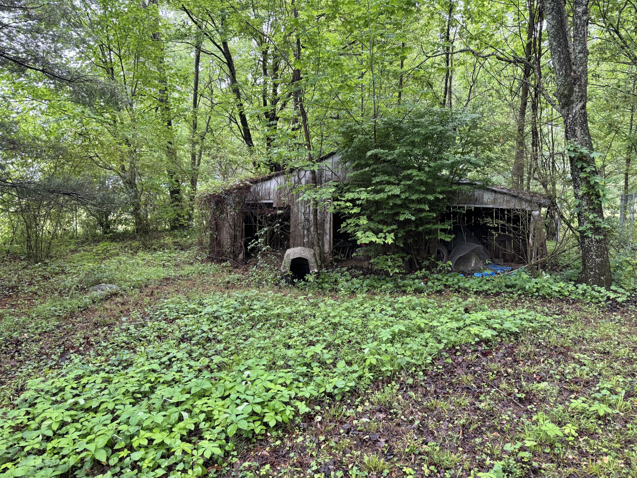 5312 Bluff Springs Road Mcminnville TN 37110