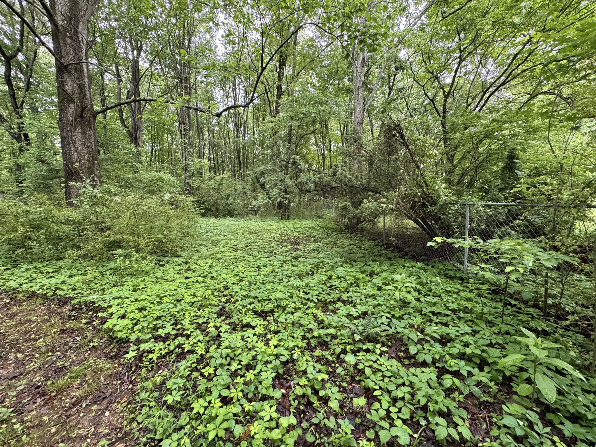 5312 Bluff Springs Road Mcminnville TN 37110