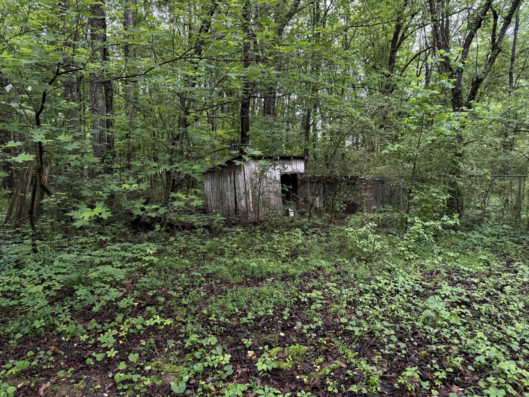 5312 Bluff Springs Road Mcminnville TN 37110