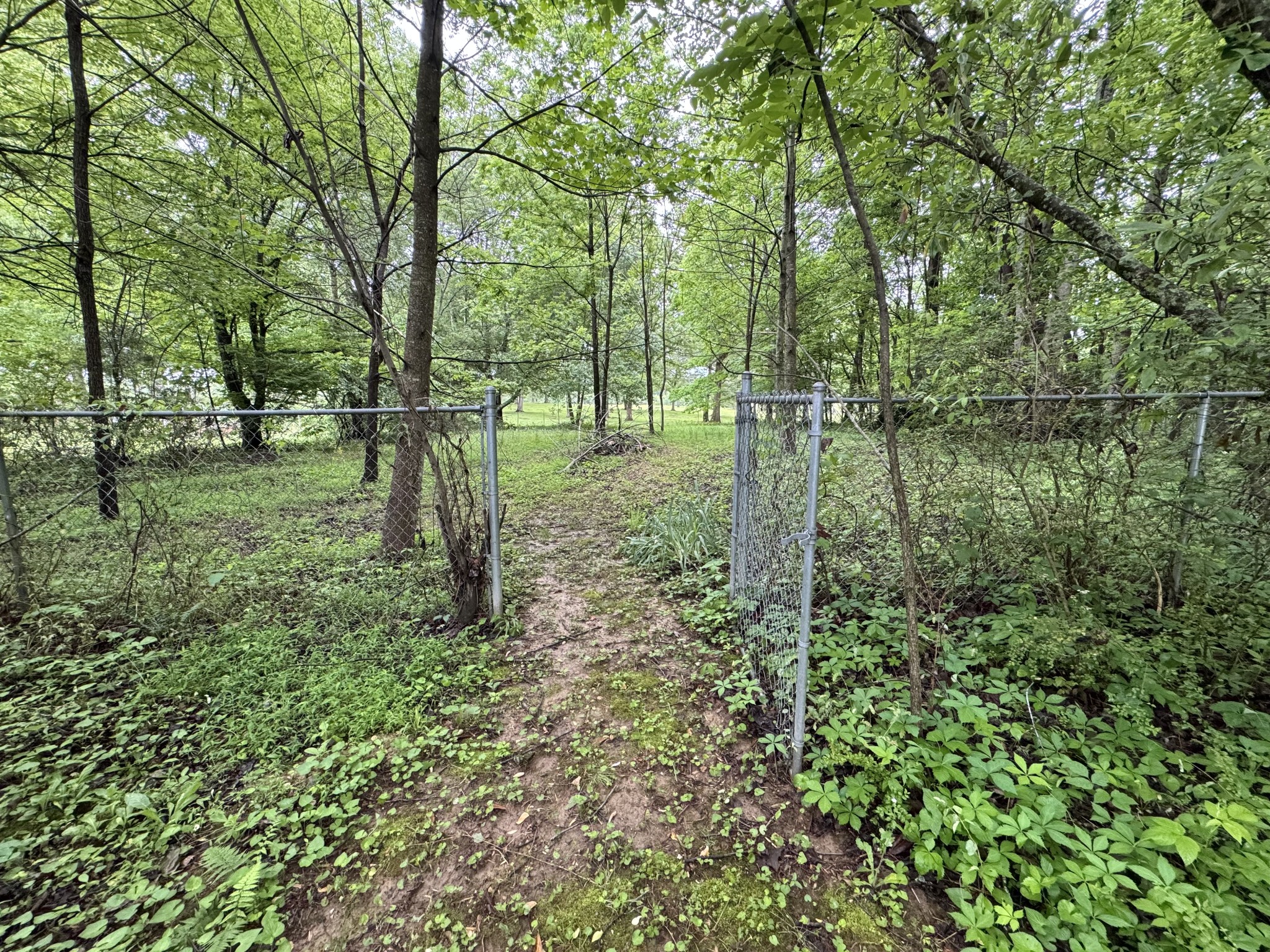 5312 Bluff Springs Road Mcminnville TN 37110