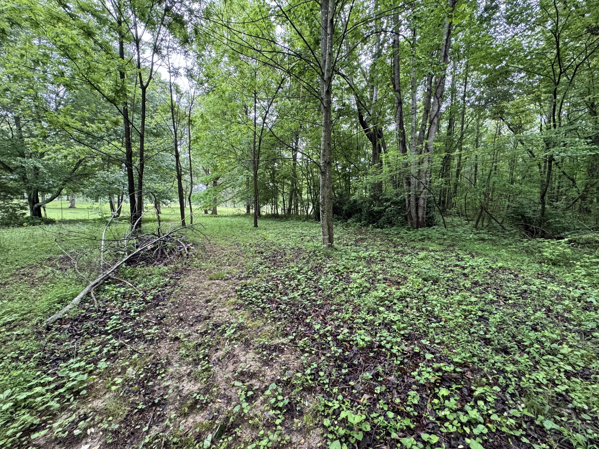 5312 Bluff Springs Road Mcminnville TN 37110