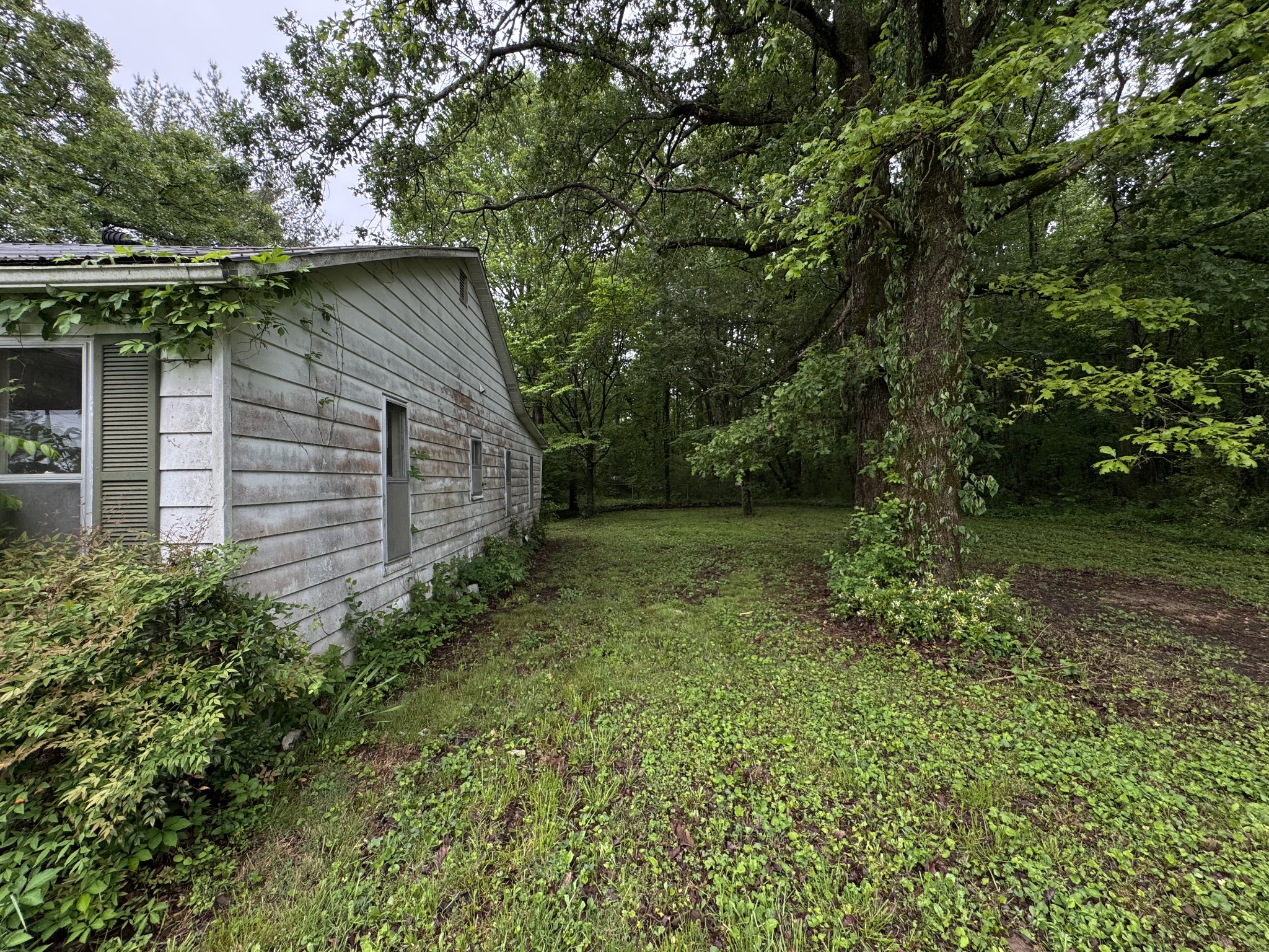 5312 Bluff Springs Road Mcminnville TN 37110