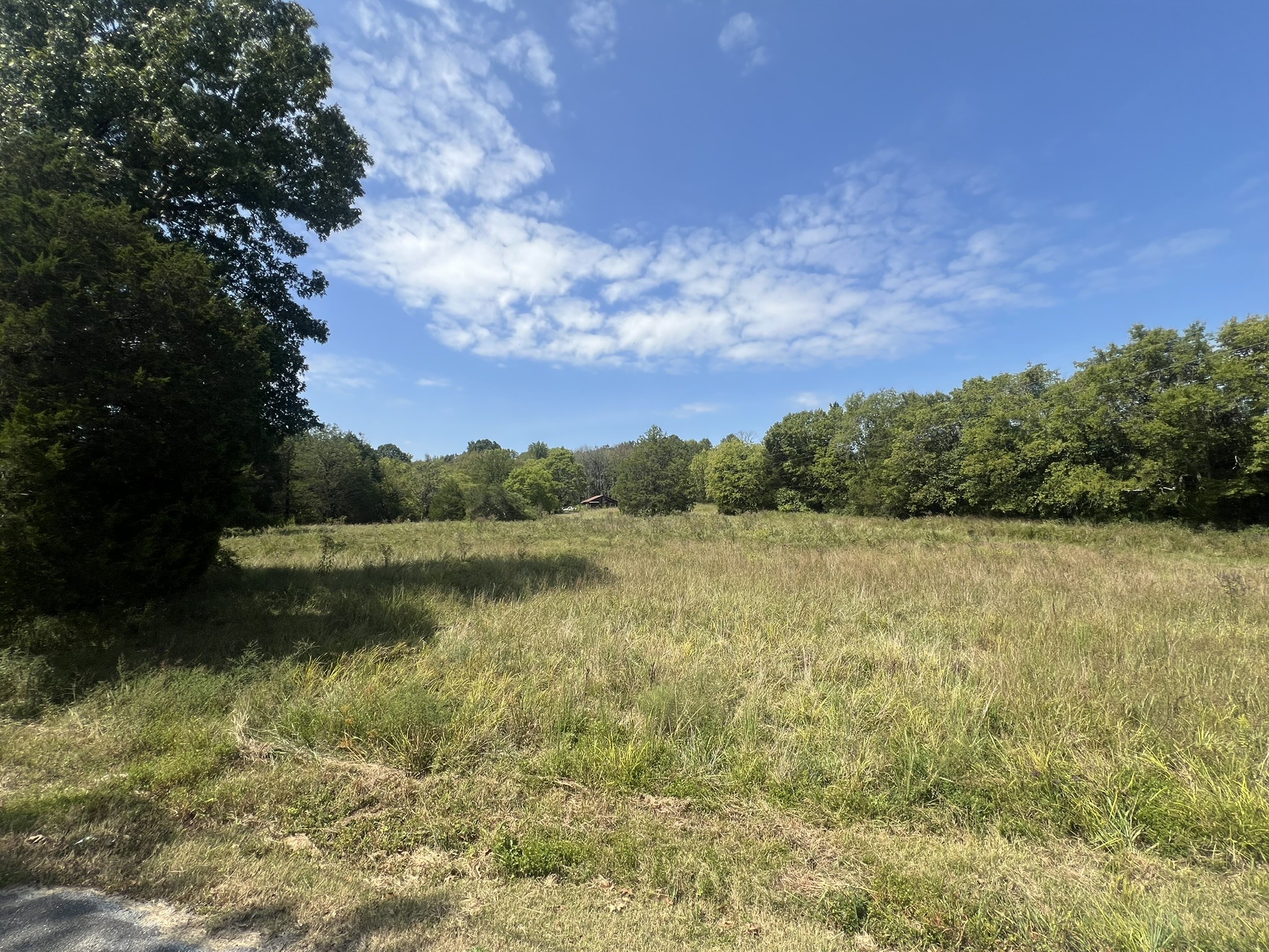 910 Campsite Road, Castalian Springs, TN 37031 | 3011819 | Benchmark ...