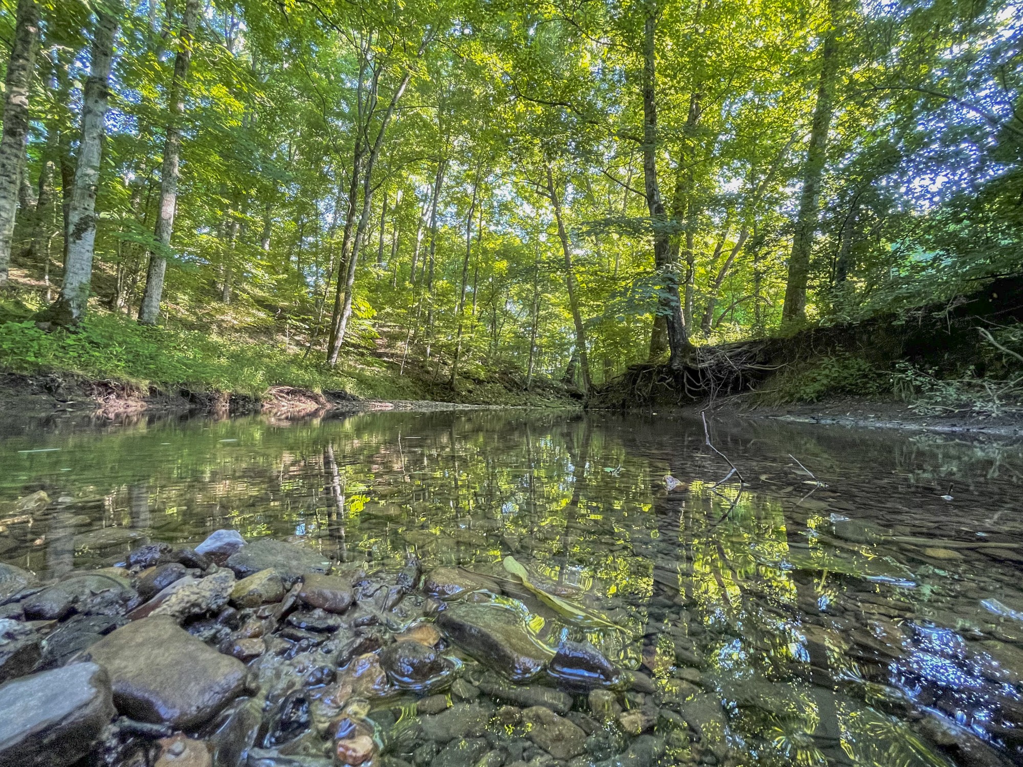 6330 Cox Road Arrington TN 37014