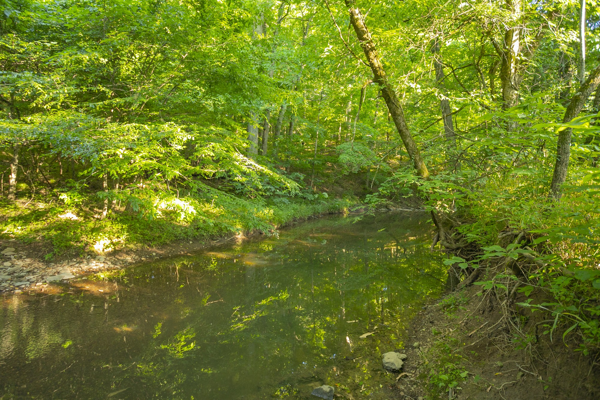 6330 Cox Road Arrington TN 37014