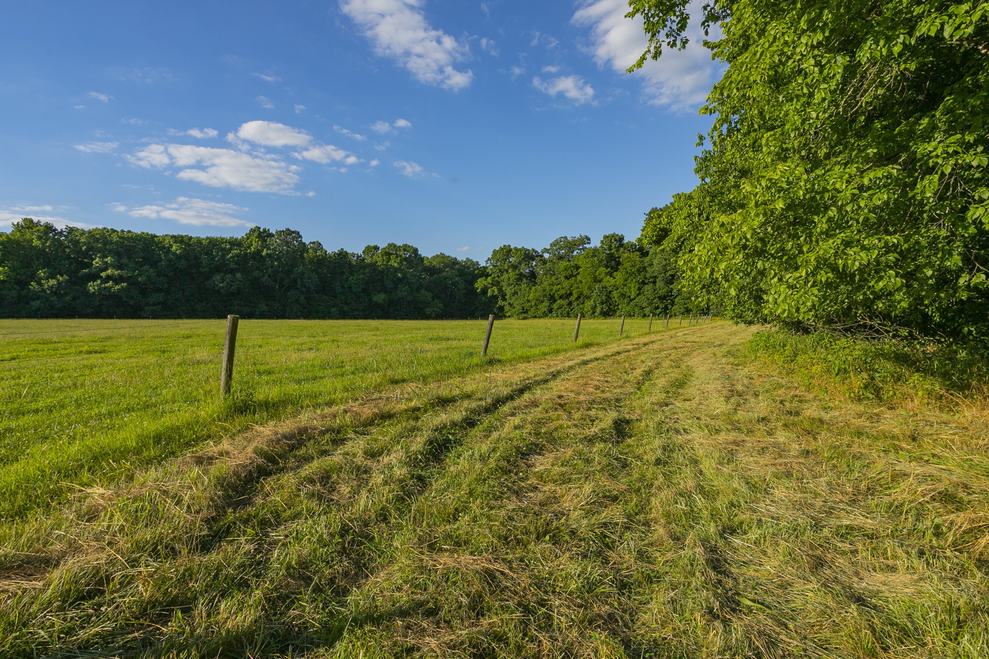 6330 Cox Road Arrington TN 37014