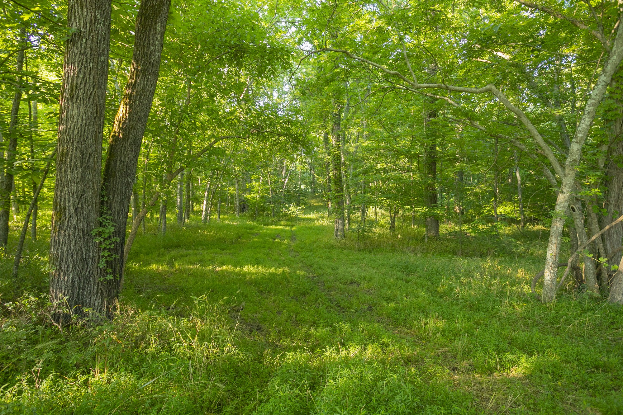 6330 Cox Road Arrington TN 37014