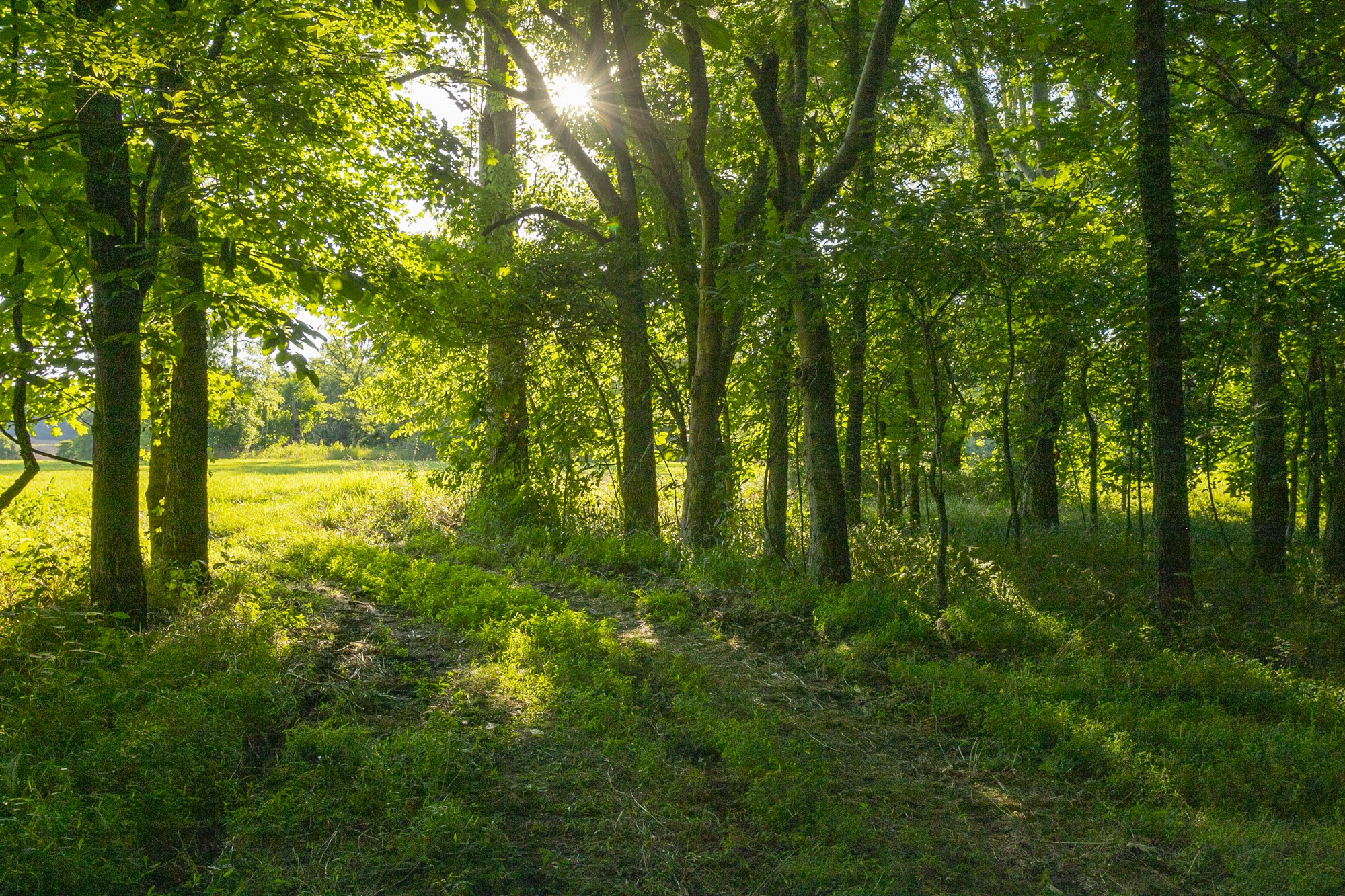 6330 Cox Road Arrington TN 37014