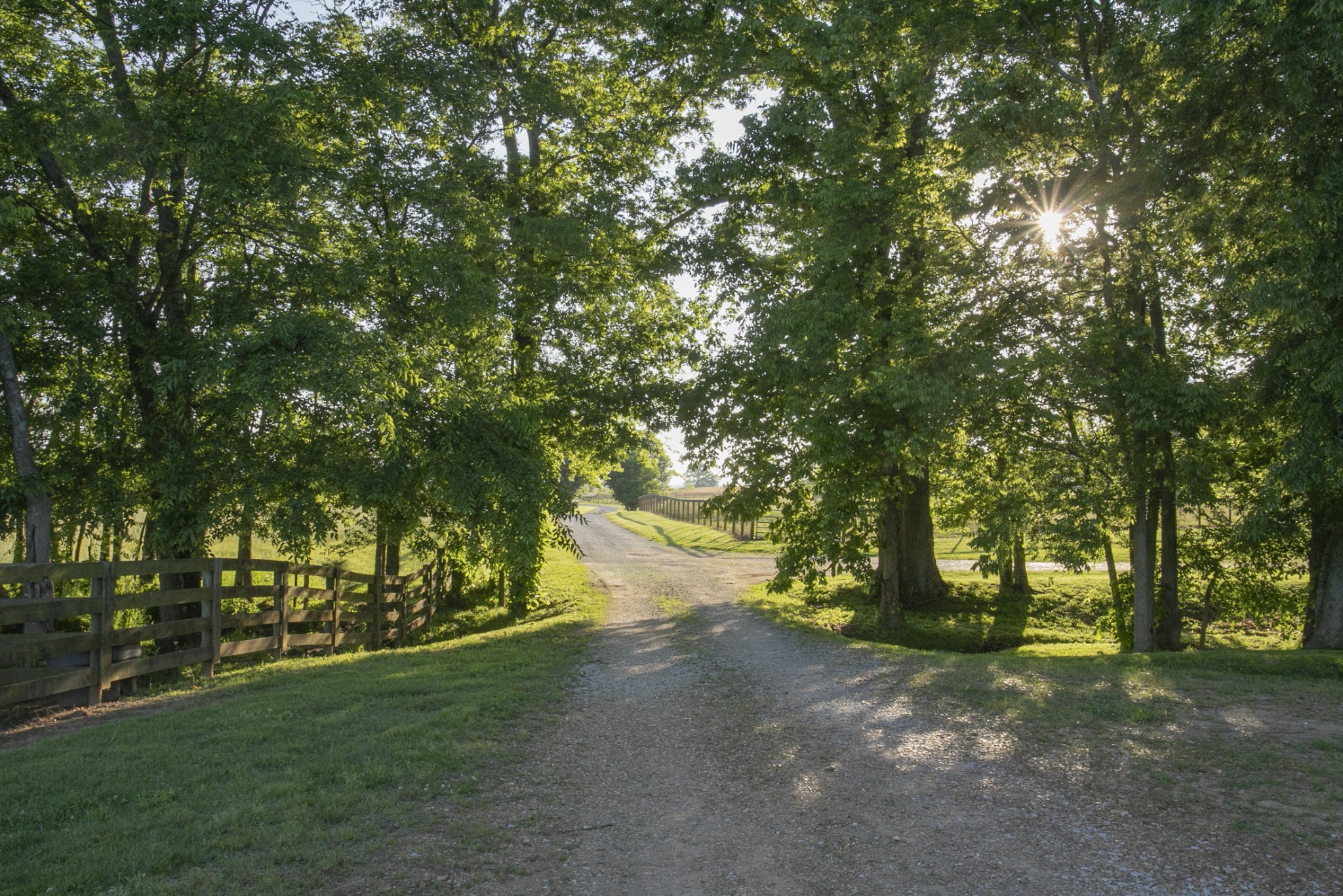 6330 Cox Road Arrington TN 37014