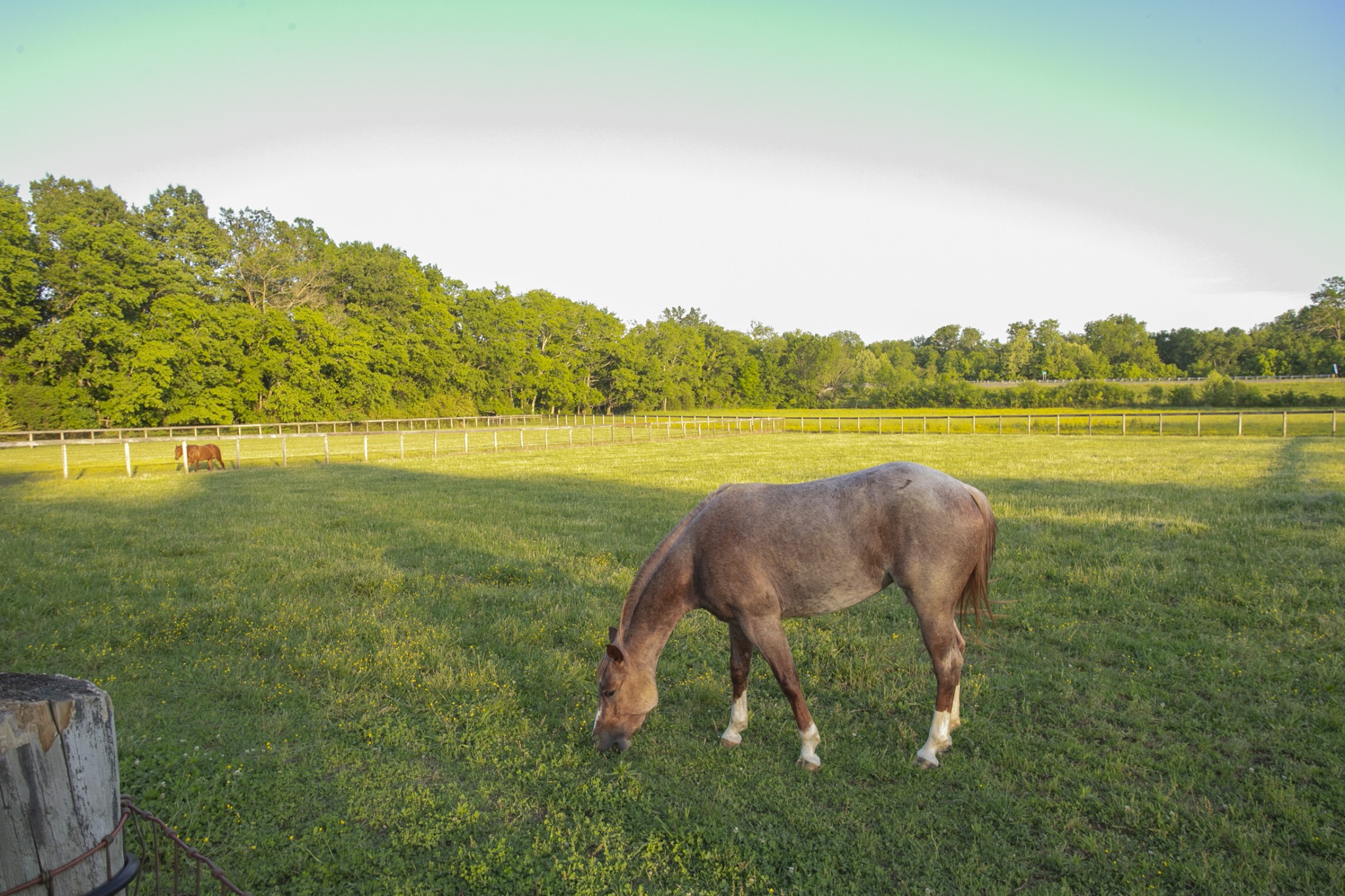6330 Cox Road Arrington TN 37014