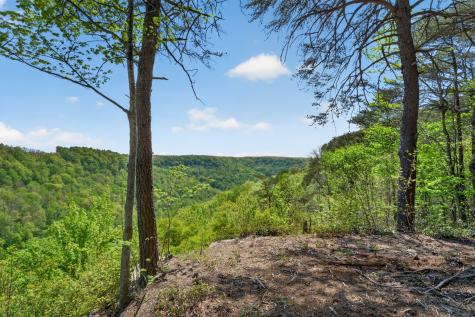 2076 Timberwood Trace Lots 317&318 Monteagle TN 37356