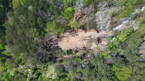 2076 Timberwood Trace Lots 317&318 Monteagle TN 37356