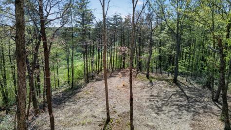 2076 Timberwood Trace Lots 317&318 Monteagle TN 37356