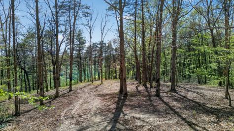 2076 Timberwood Trace Lots 317&318 Monteagle TN 37356