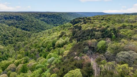 2076 Timberwood Trace Lots 317&318 Monteagle TN 37356