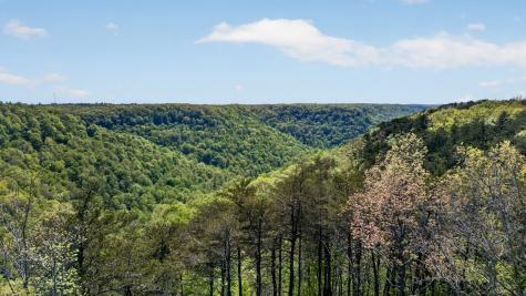 2076 Timberwood Trace Lots 317&318 Monteagle TN 37356