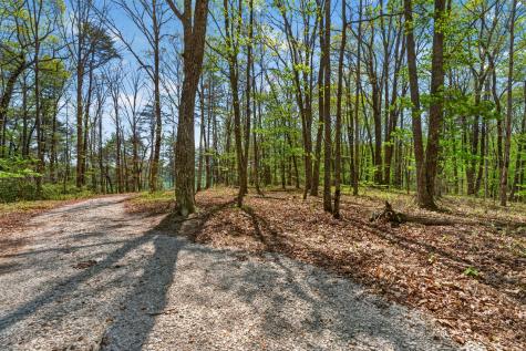 2076 Timberwood Trace Lots 317&318 Monteagle TN 37356