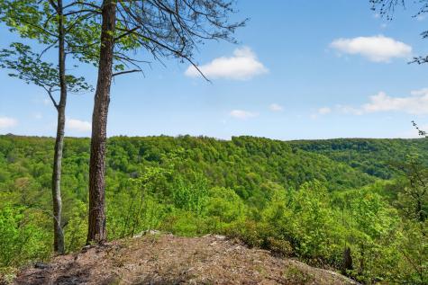 2076 Timberwood Trace Lots 317&318 Monteagle TN 37356