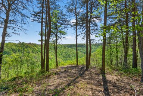 2076 Timberwood Trace Lots 317&318 Monteagle TN 37356