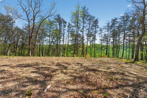 2076 Timberwood Trace Lots 317&318 Monteagle TN 37356