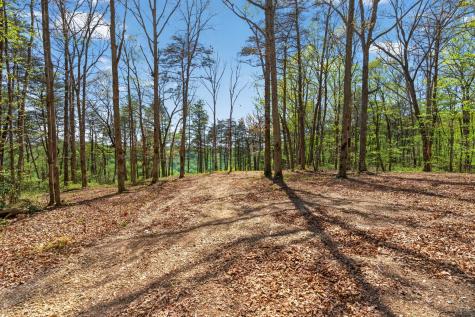 2076 Timberwood Trace Lots 317&318 Monteagle TN 37356