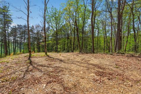 2076 Timberwood Trace Lots 317&318 Monteagle TN 37356