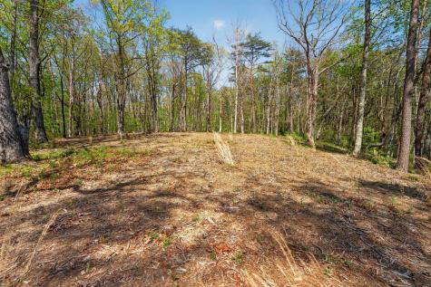 2076 Timberwood Trace Lots 317&318 Monteagle TN 37356