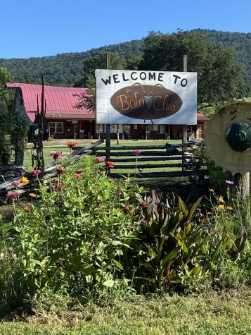 738 Sinking Cove Road Sherwood TN 37376