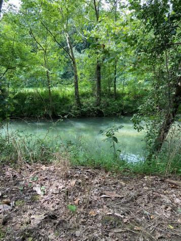 738 Sinking Cove Road Sherwood TN 37376