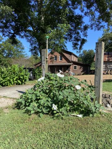 738 Sinking Cove Road Sherwood TN 37376