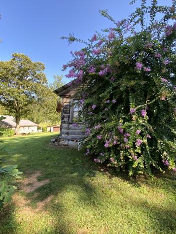 738 Sinking Cove Road Sherwood TN 37376