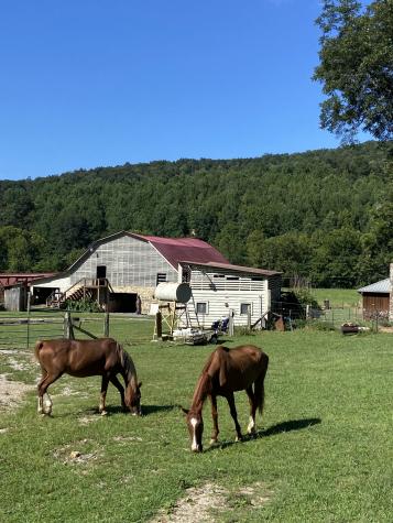 738 Sinking Cove Road Sherwood TN 37376