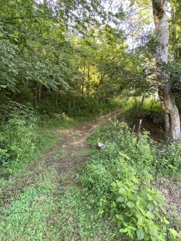 738 Sinking Cove Road Sherwood TN 37376