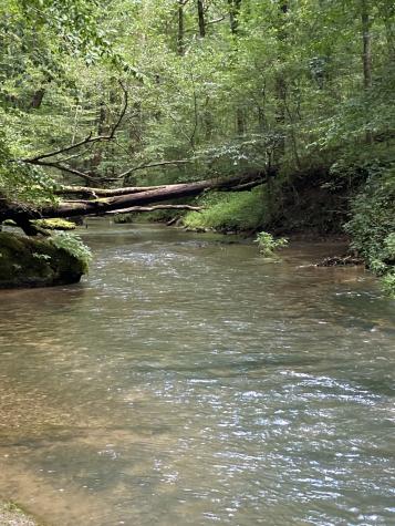 738 Sinking Cove Road Sherwood TN 37376