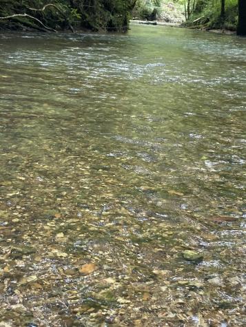 738 Sinking Cove Road Sherwood TN 37376