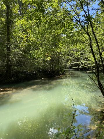 738 Sinking Cove Road Sherwood TN 37376