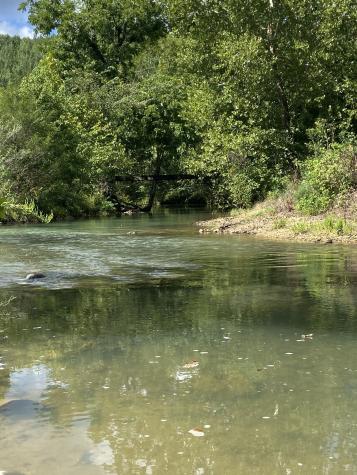 738 Sinking Cove Road Sherwood TN 37376