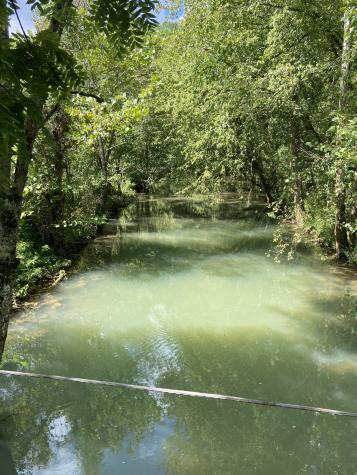 738 Sinking Cove Road Sherwood TN 37376