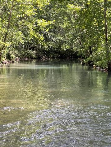 738 Sinking Cove Road Sherwood TN 37376