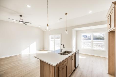 1524 Angus Way Greenbrier TN 37073