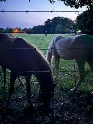 1013 Jane Circle Ashland City TN 37015