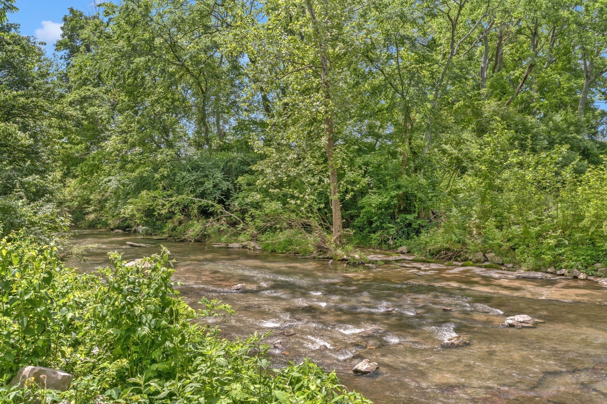 450 Bishop Boulevard Gallatin TN 37066