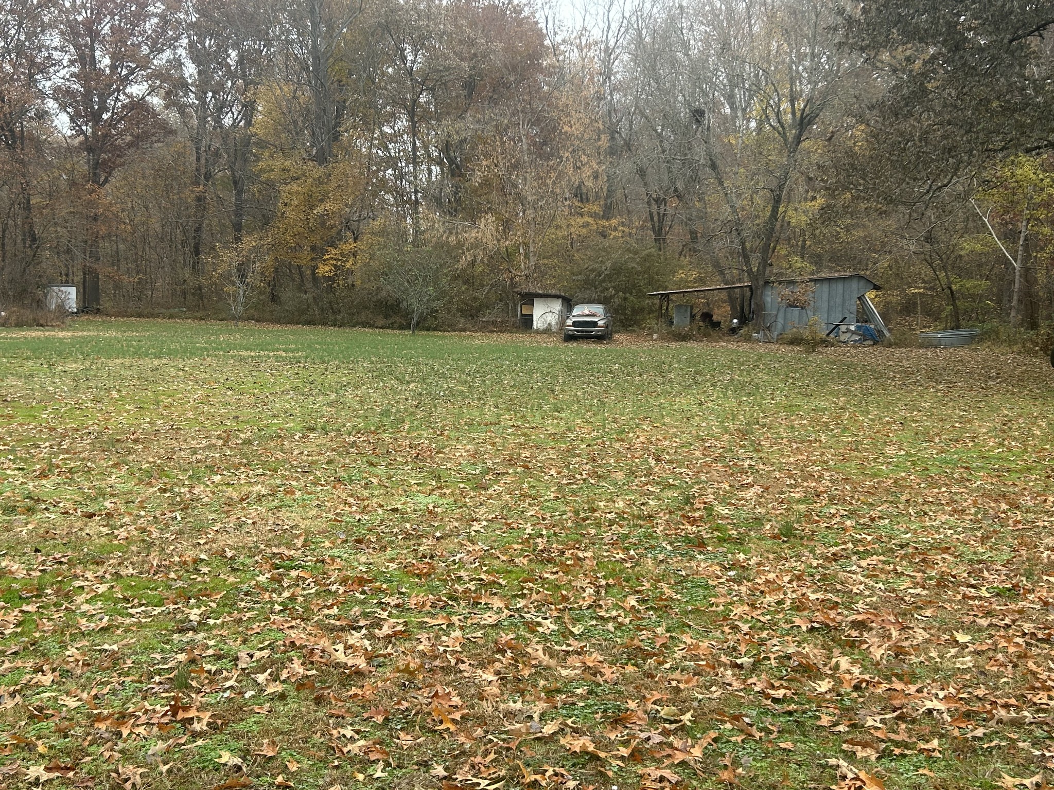 700 Corinth Road Sharon TN 38255