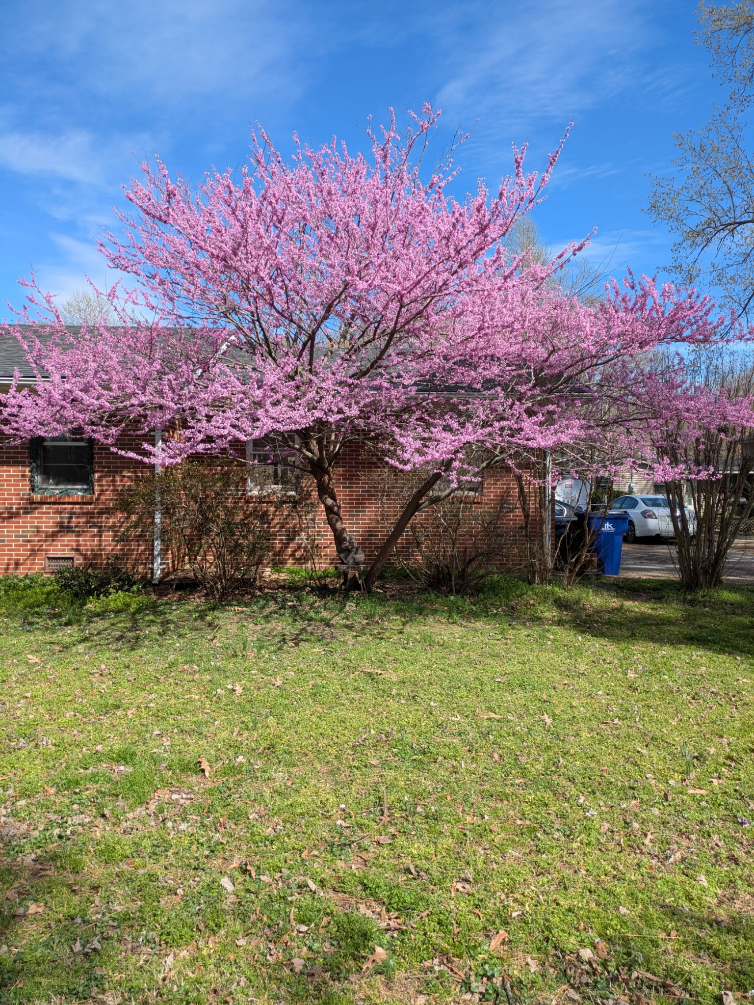 700 Corinth Road Sharon TN 38255