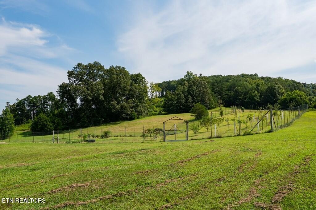 1518 Cummingsville And Sparkman Road Doyle TN 38559
