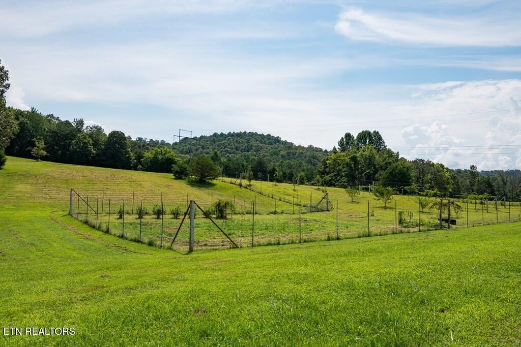 1518 Cummingsville And Sparkman Road Doyle TN 38559