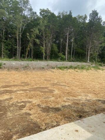 1920 Haylee Mills Road Lebanon TN 37087
